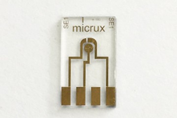 MicroElectrode Array Gold 10um