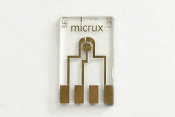 MicroElectrode Array Gold 5um