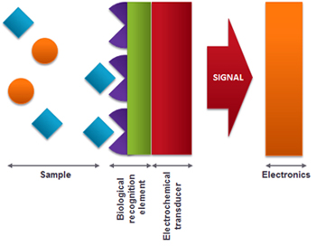 Biosensor