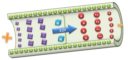 Electrophoresis
